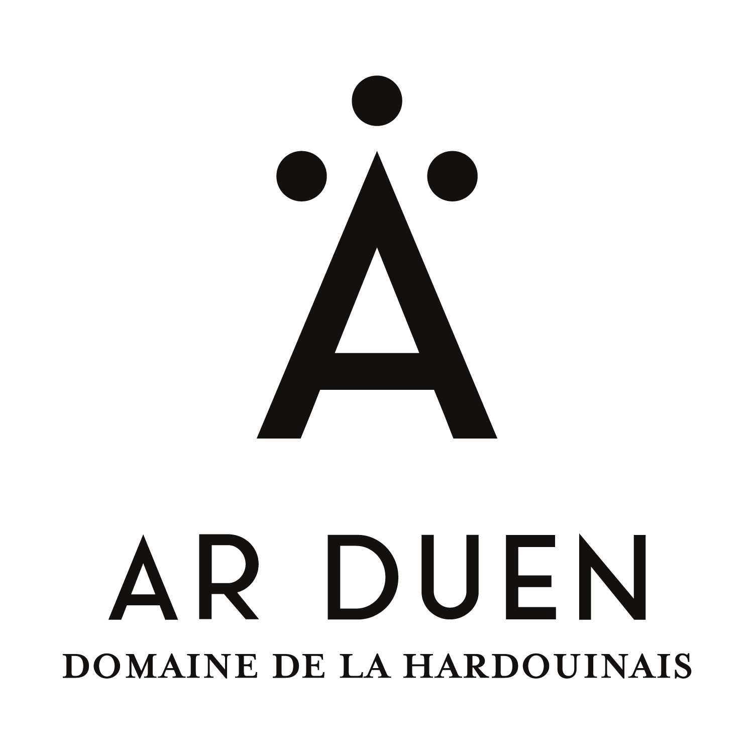 ARCH logo ar duen black