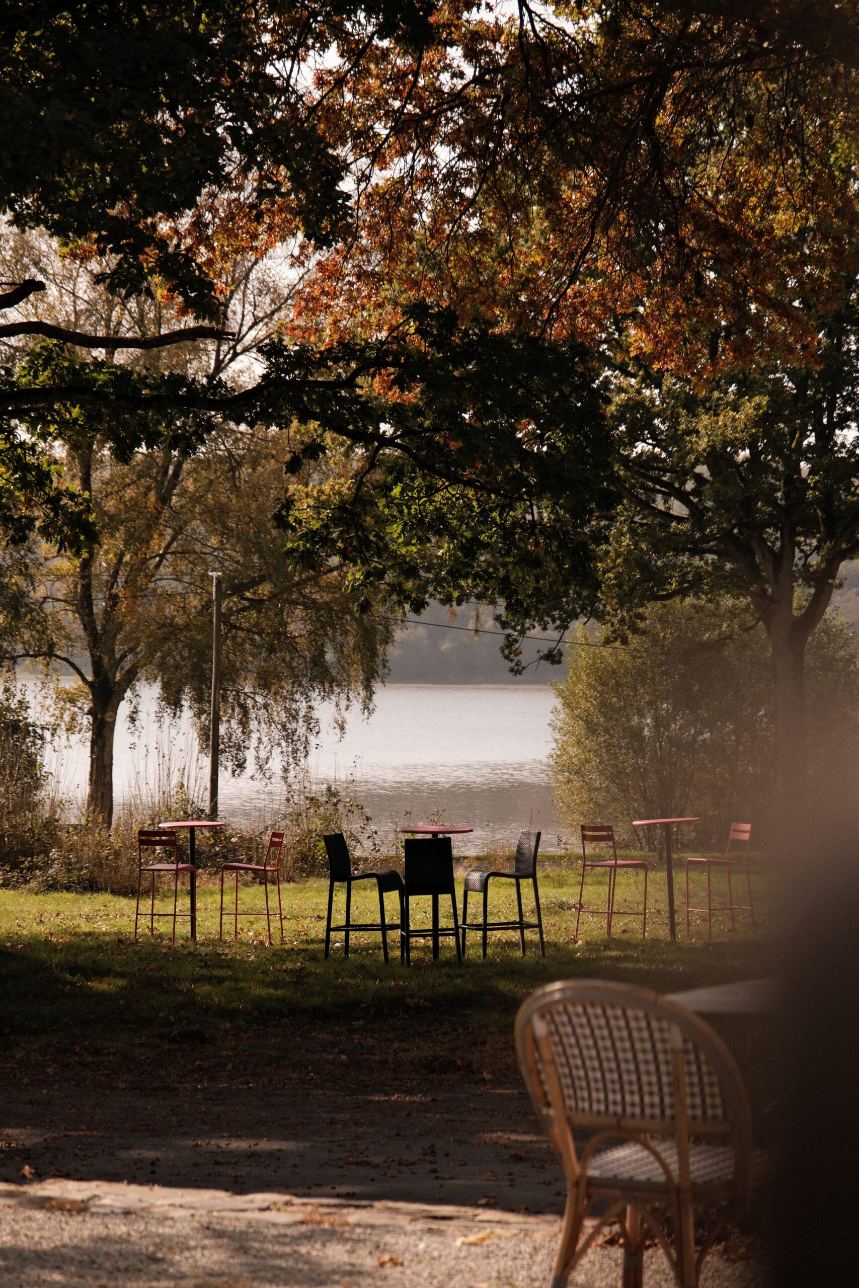 ar collection groupe hotelier 1 scaled