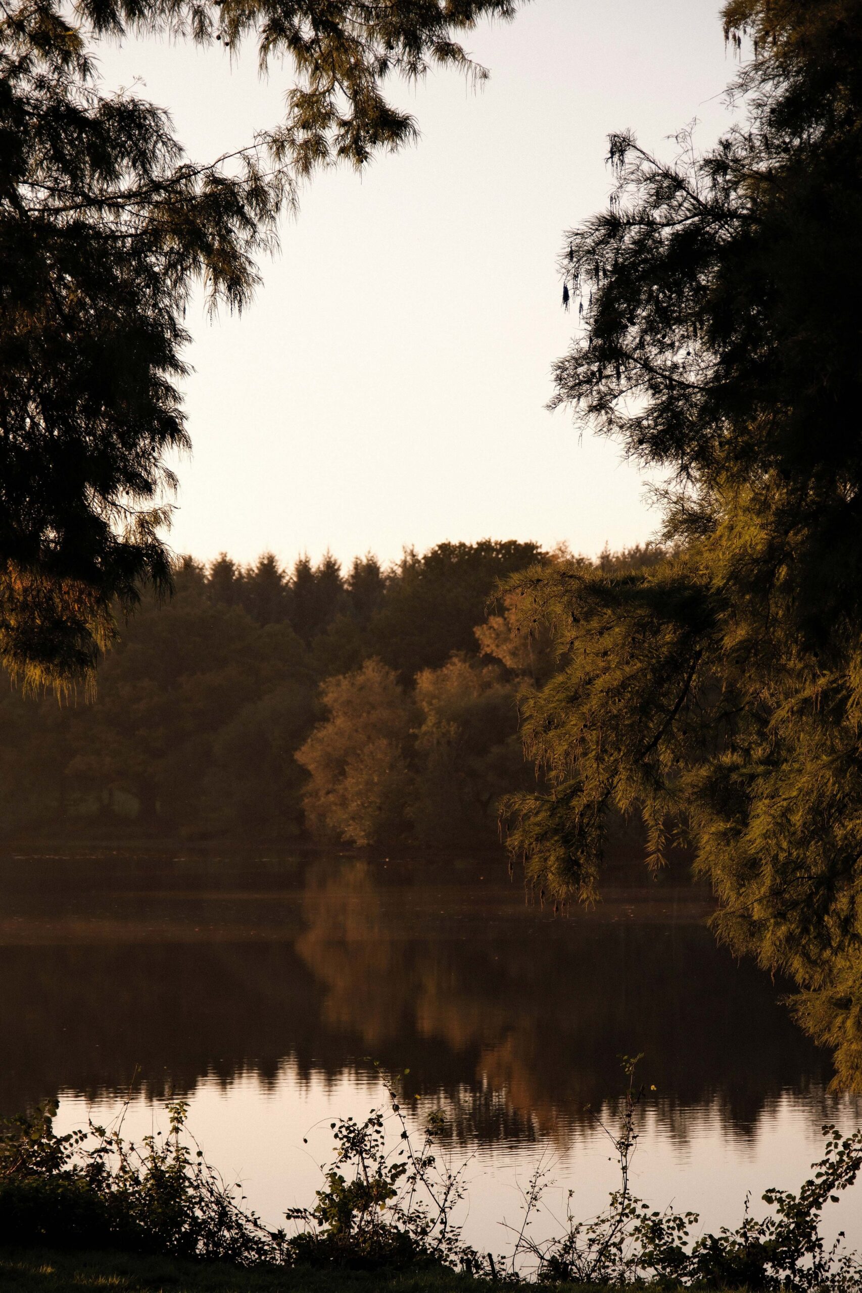 ar duen hotel cotes darmor scaled