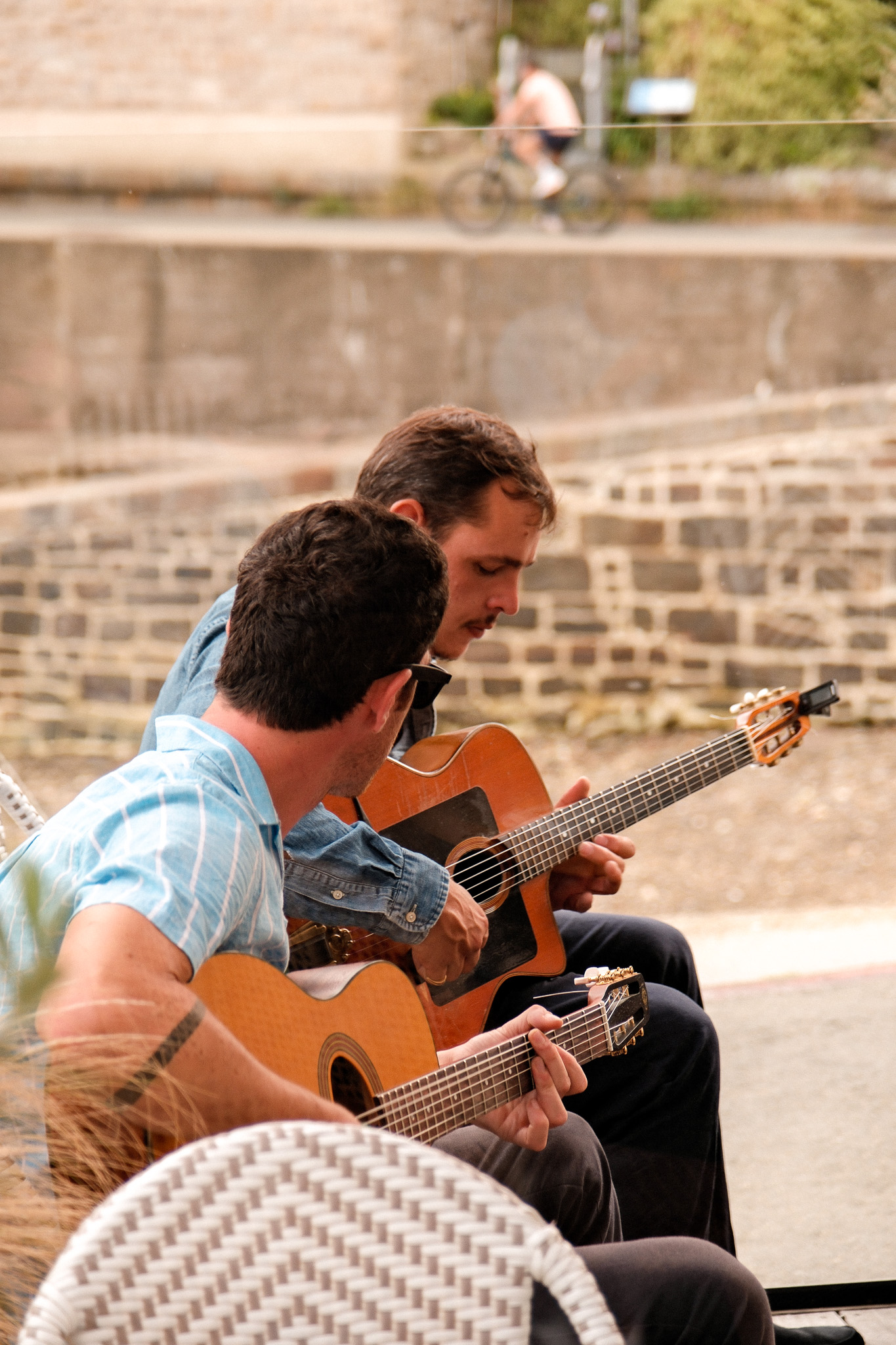 musicien la vallee animation